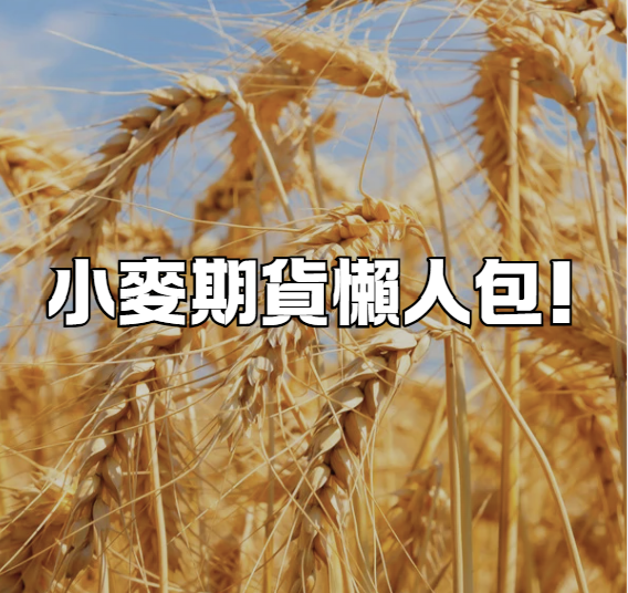 小麥期貨完整懶人包!